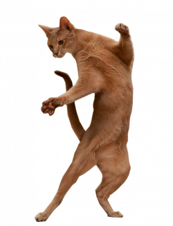 Standing dancing cat : cutouts