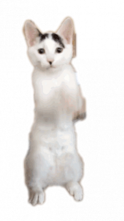 Pin on My Designs, Transparent work on Photoshop and Stuff :)