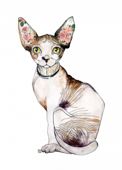 transparent cat | Tumblr