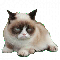 transparent cat | Tumblr