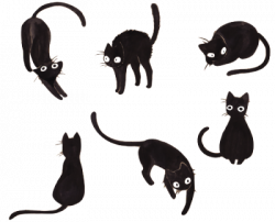 transparent cat | Tumblr