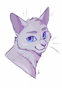 Cat Warriors Drawing Art Sketch - warrior cats png ...