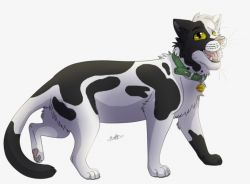 Warrior Cats Png & Free Warrior Cats.png Transparent Images ...