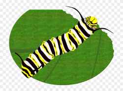 License Free Clip Art - Monarch Butterfly Caterpillar, HD ...