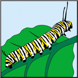 Clip Art: Butterfly: Monarch Caterpillar Color I abcteach ...