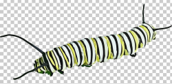 Butterfly Caterpillar Insect PNG, Clipart, Animal, Animals ...