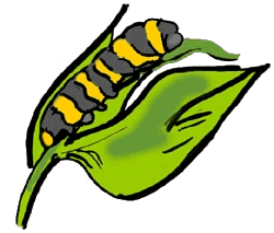 Caterpillar on Leaf Clip Art | Clipart Panda - Free Clipart ...