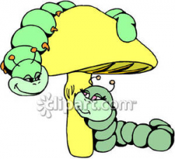 Cute Caterpillars On A Mushroom - Royalty Free Clipart Picture
