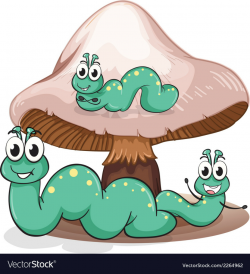 A mushroom with caterpillars