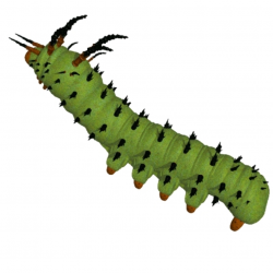 Very Hungry Caterpillar Clipart Free Clipart Images - Clip ...