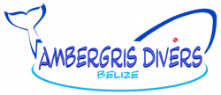 Belize Scuba Diving and Snorkeling Tours in Ambergris Caye, Belize