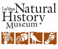 Las Vegas Natural History Museum – Las Vegas Show | Corporate ...