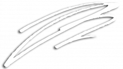 Products Archive - D. S. Bradford