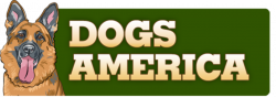 Dog Names - Dogs America German Shepherd Dogs and Puppies