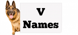 Dog Names – German Shepherd Country