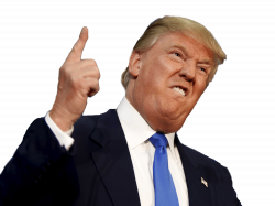 Donald Trump PNG | Gif | Pinterest | Donald trump and Flipping