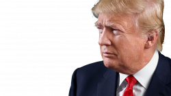 Donald Trump PNG images free download