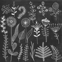 Chalk floral clipart Chalkboard flowers leafs hand painted ...