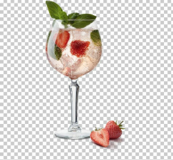 Cocktail Garnish Strawberry Gin And Tonic Tonic Water PNG ...