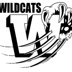 Wildcats | Go Big Blue | School spirit shirts, Football shirt ...