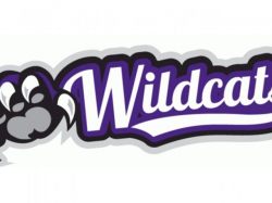 Wildcat Clipart cheer 10 - 400 X 400 Free Clip Art stock ...