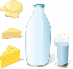 Set of milk and cheese design vector graphics Free vector in ...