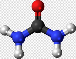 Urea Molecule Chemistry Molecular model Ammonia, Molecules ...
