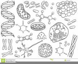 Organic Chemistry Clipart | Free Images at Clker.com ...