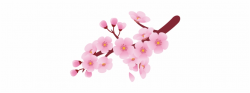 Flower Clip Art - Cherry Blossoms Clip Art - cherry blossom ...