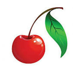 Pictures Of Cherries | Free download best Pictures Of ...