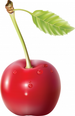 Cherries clipart one cherry, Cherries one cherry Transparent ...