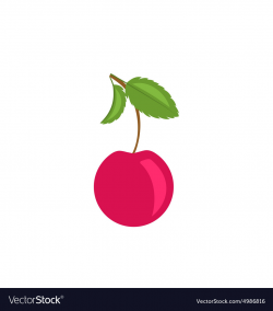 Single Cherry with Green Leaves Isolated