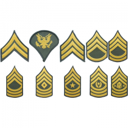 US Army Military Dress Greens Chevron Rank Insignia
