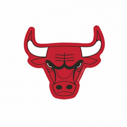 Amazon.com : NBA Chicago Bulls Logo on the Go Go : Sports ...
