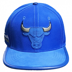 Pro Standard Men\'s NBA Chicago Bulls Logo Suede Applique Buckle Back Hat  Blue