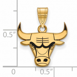 Amazon.com: NBA 14k Yellow Gold Plated Sterling Silver ...