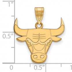 Amazon.com : NBA Chicago Bulls Large Logo Pendant in 10K ...