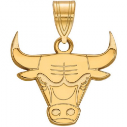 NBA Chicago Bulls 10kt Yellow Gold Medium Pendant