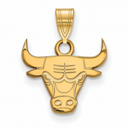 Amazon.com : NBA Chicago Bulls Small Logo Pendant in 10K ...