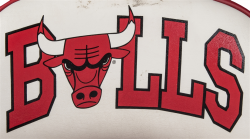 Lot Detail - 1990-98 Chicago Bulls Courtside Chair Used At ...