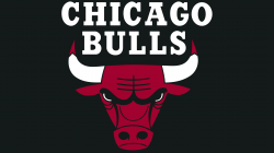 Chicago Bulls logos | History team and Primary emblem