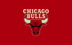 Chicago Bulls Logo Wallpaper | Chicago Bulls Logo Red ...