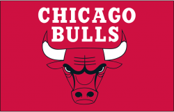 Chicago Bulls Primary Dark Logo - National Basketball ...