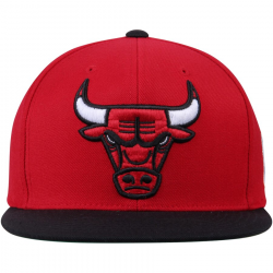 Chicago Bulls Mitchell & Ness Current XL Logo 2 Tone ...