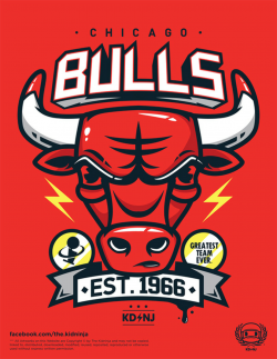 BULLS SWAG on Behance