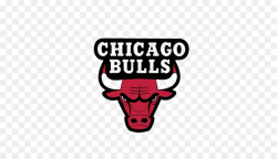 Chicago Bulls NBA Logo Decal - Chicago Bulls PNG Transparent ...