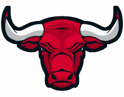 Chicago Bulls Logo Clip art - bull png download - 639*500 ...