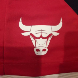 If you turn the Chicago Bulls\' logo upside down, it looks ...