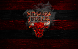 Chicago Bulls Logo HD Wallpaper | Background Image ...