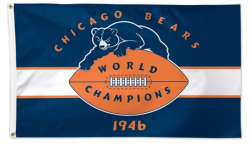Amazon.com : Stockdale Chicago Bears WC Retro 1946 Champions ...